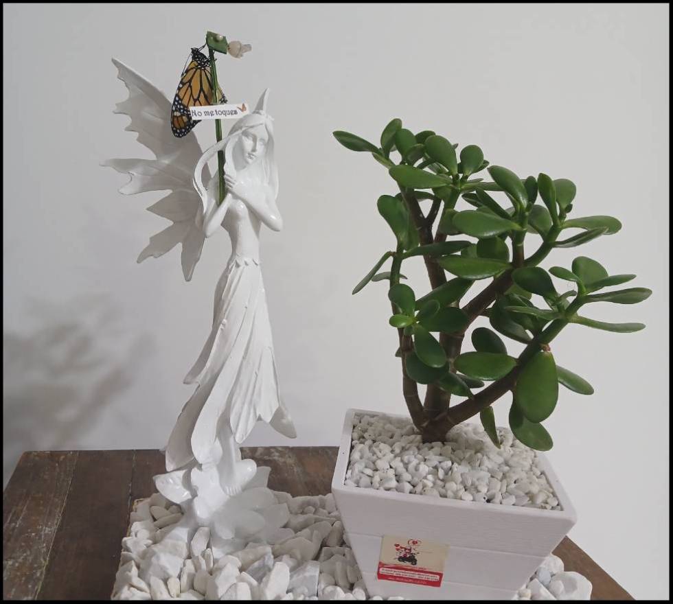 Detalle para el día de la Madre: Renacer